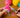 how to make yarn pom poms