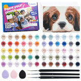 Paint By Number Kit - Caydo