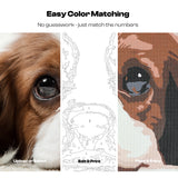 Paint By Number Kit - Caydo