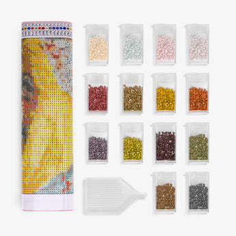 Van Gogh Diamond Painting - Caydo