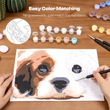 Paint By Number Kit - Caydo
