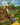 Houses at Auvers - Caydo