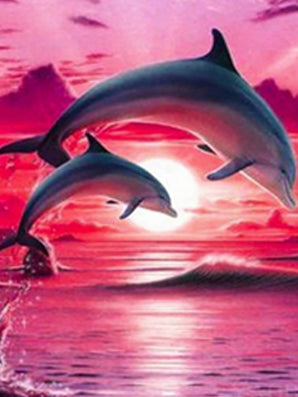 Dolphins Pink - Caydo