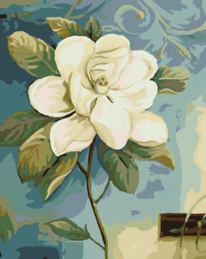 Cape Jasmine - Caydo