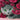 Cat and Safflower - Caydo