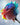 Rainbow Roses - Caydo
