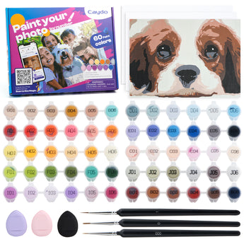 Paint By Number  Kit - Caydo