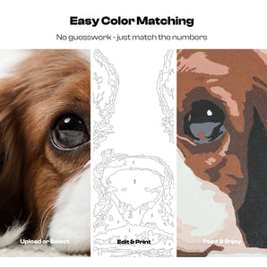 Paint By Number  Kit - Caydo