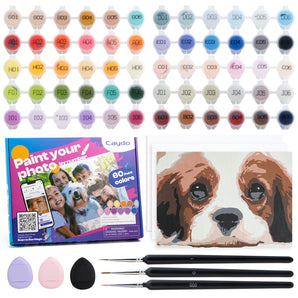 Paint By Number  Kit - Caydo