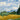 Wheat Field with Cypresses - Caydo