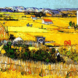 The Catcher in the Rye - Caydo