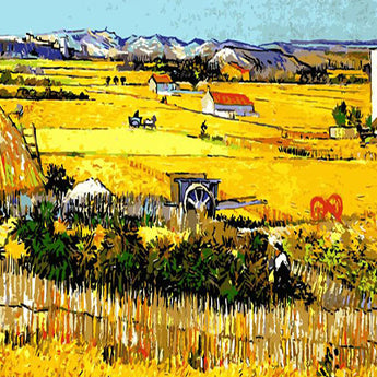 The Catcher in the Rye - Caydo