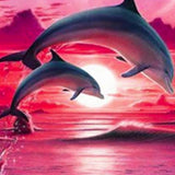 Dolphins Pink - Caydo