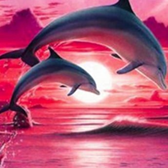 Dolphins Pink - Caydo