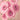 Pink Flowers - Caydo