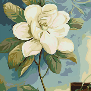 Cape Jasmine - Caydo