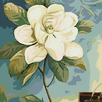 Cape Jasmine - Caydo