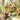 Flowers by the Window - Caydo