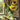 Sunflowers In A Vase On A Window Sill - Caydo