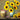 Diy Sunflower - Caydo