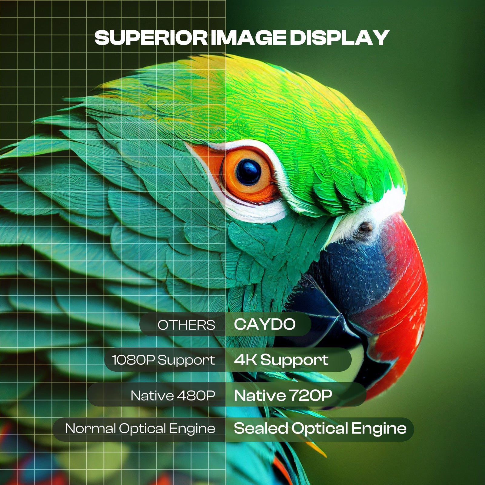 Caydo P1 Art Projector, Drawing Projector with Exclusive Art-Drawing ...